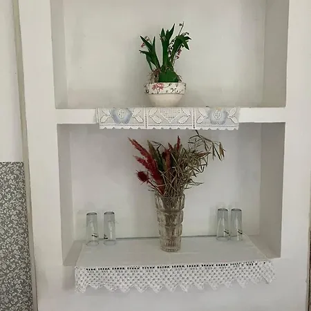 Somborski Salas - Strogi Centar *