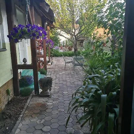 Somborski Salas - Strogi Centar