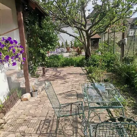 Somborski Salas - Strogi Centar *