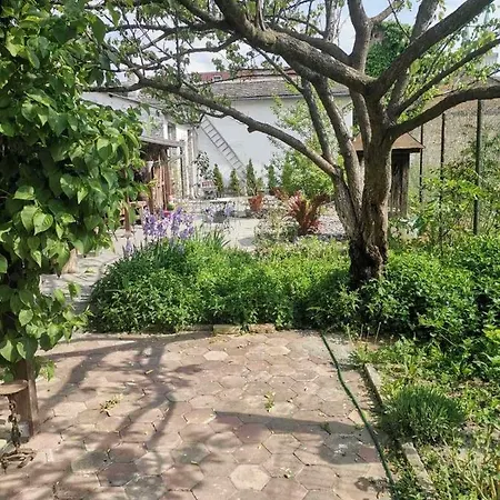 Somborski Salas - Strogi Centar Apartment *