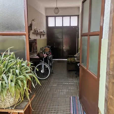 Somborski Salas - Strogi Centar *