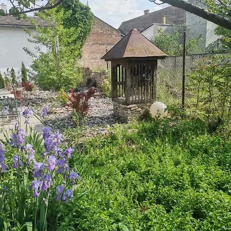 Somborski Salas - Strogi Centar Apartment *