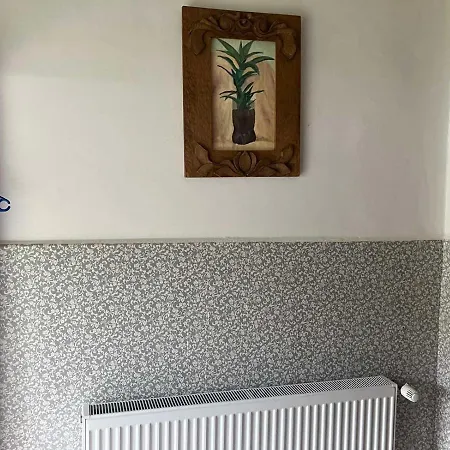 Somborski Salas - Strogi Centar *