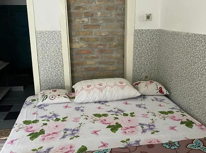 Somborski Salas - Strogi Centar Lejlighed *