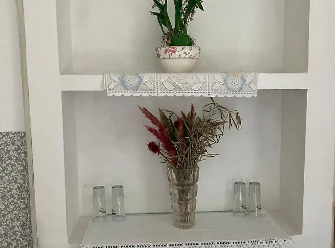 Somborski Salas - Strogi Centar *