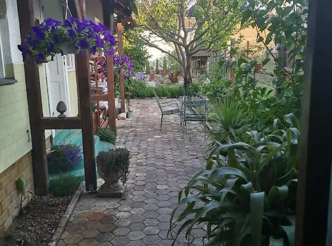 Somborski Salas - Strogi Centar