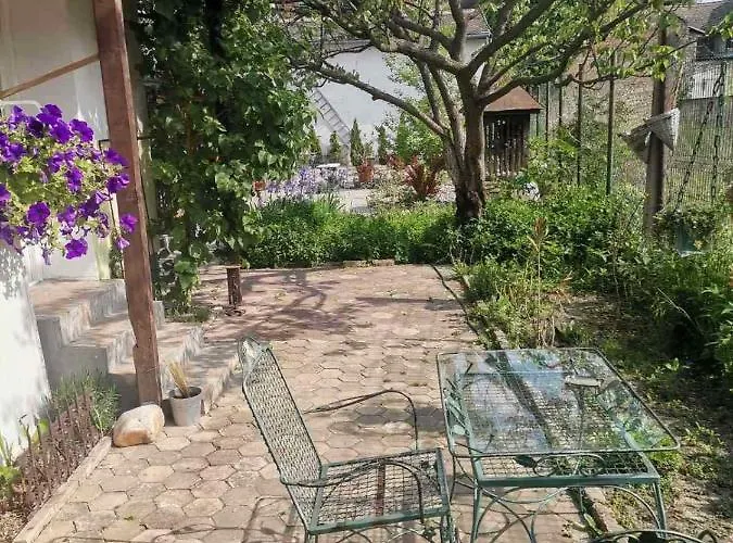 Somborski Salas - Strogi Centar *