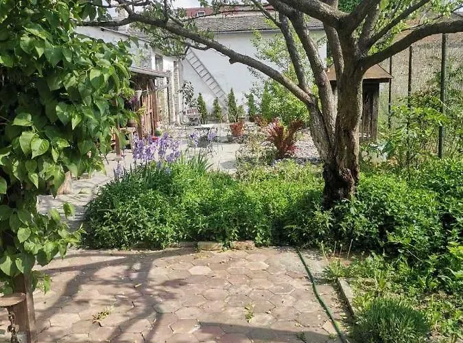 Somborski Salas - Strogi Centar Lejlighed *