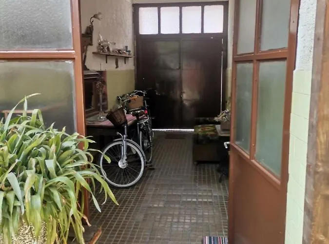 Somborski Salas - Strogi Centar *