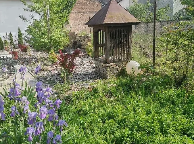 Somborski Salas - Strogi Centar Lejlighed *