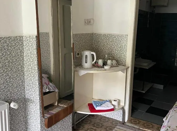 Somborski Salas - Strogi Centar Lejlighed *