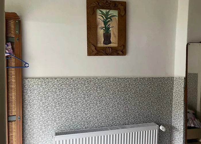 Somborski Salas - Strogi Centar *