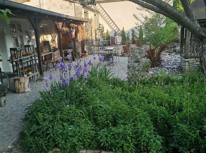 Somborski Salas - Strogi Centar Lejlighed *