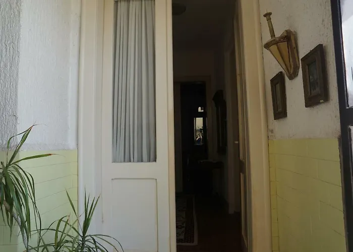 Somborski Salas - Strogi Centar