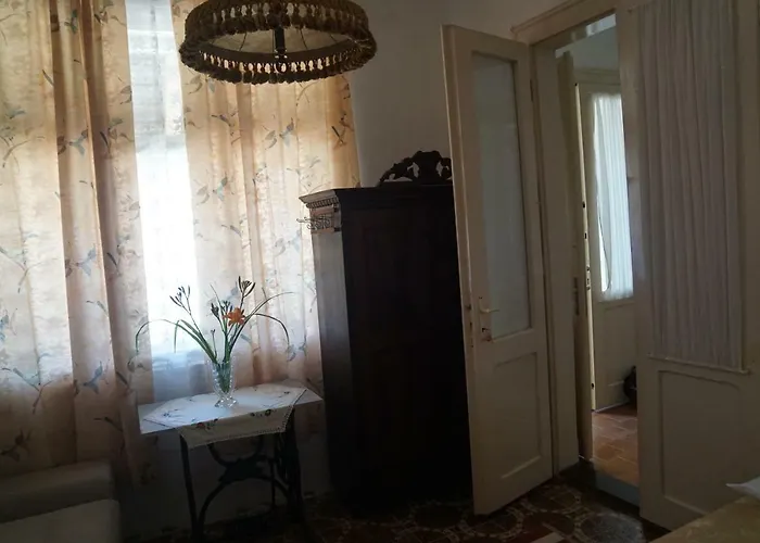 Somborski Salas - Strogi Centar *